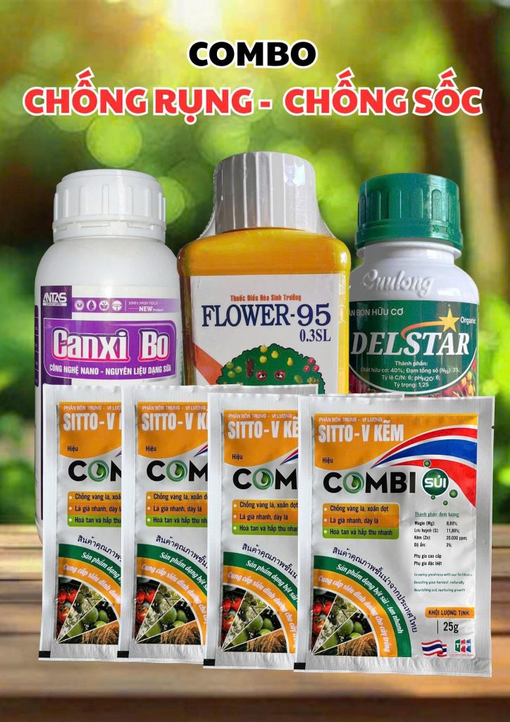 chống sốc sau xổ nhụy
