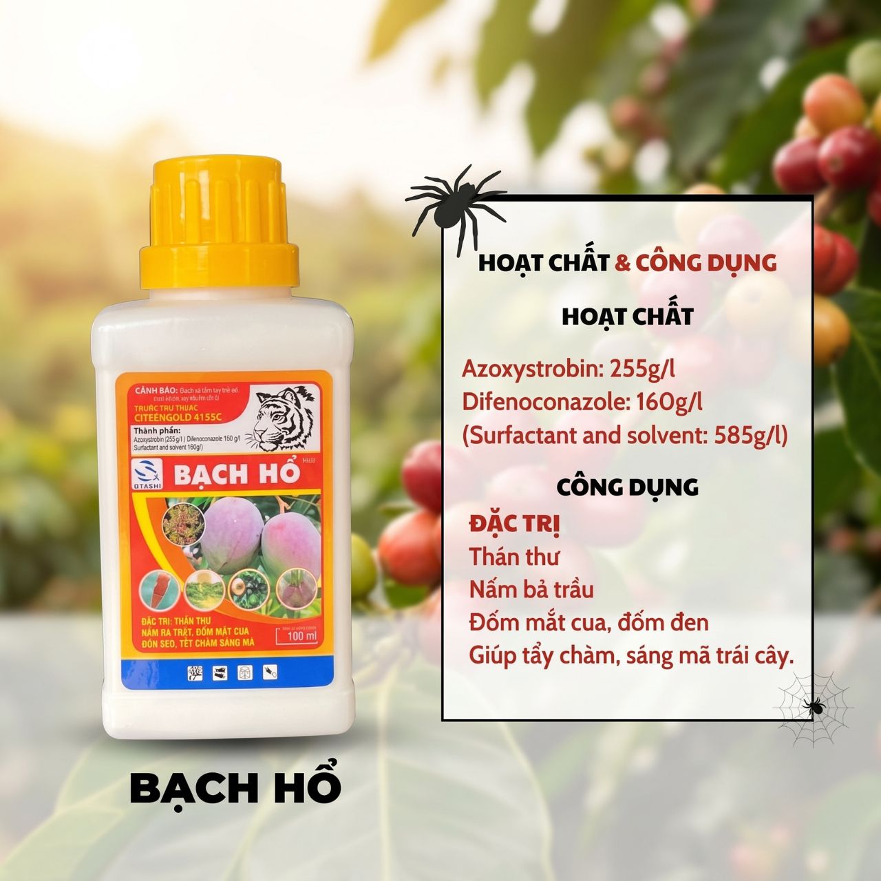 cong dụng Bạch hổ