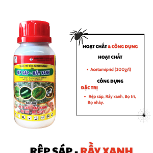 RỆP SÁP- RẦY XANH