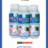 Amino rong biển dưỡng trái
