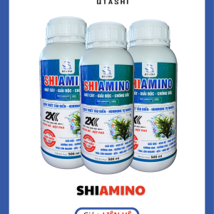 Amino rong biển dưỡng trái