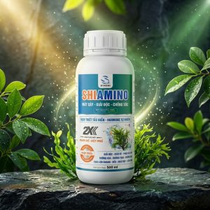 SHIAMINO QTASHI 500ml